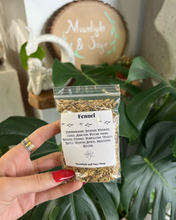 Load image into Gallery viewer, Fennel Herb 1 Oz
