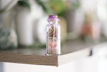 Load image into Gallery viewer, Peace Spell Jar Kit