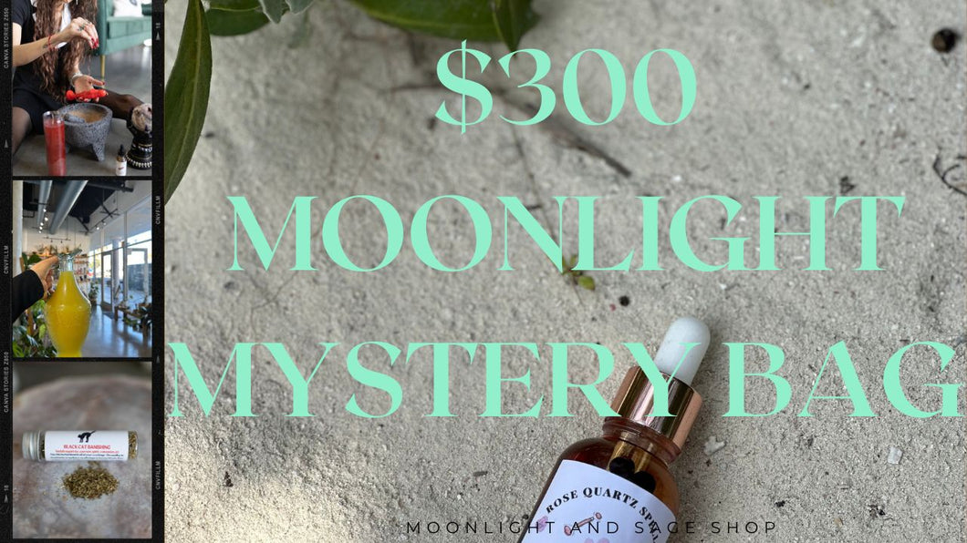 $300 Moonlight Mystery Witchcraft Bag