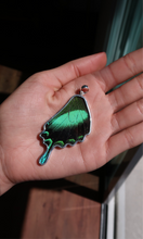 Load image into Gallery viewer, Emerald Swallowtail Butterfly Silver &amp; Platinum Pendant From Peru
