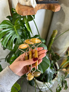Mookaite Facial Roller