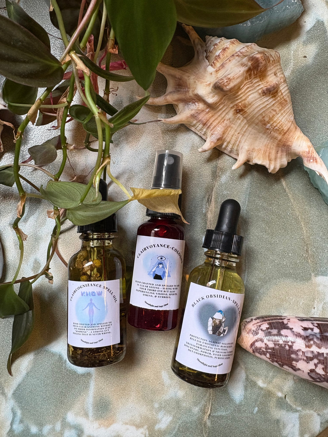 Alyssa’s Venus Day Trio 8/22/25 - Online Only