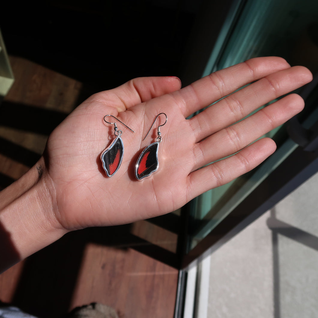 Scarlet Mormon Butterfly Silver & Platinum Earrings From Peru