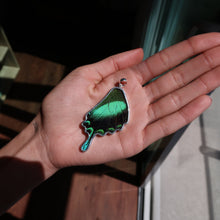 Load image into Gallery viewer, Emerald Swallowtail Butterfly Silver &amp; Platinum Pendant From Peru
