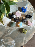 Intuitively Picked Cat Crystal