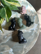 Intuitively Picked Howling Wolf Crystal