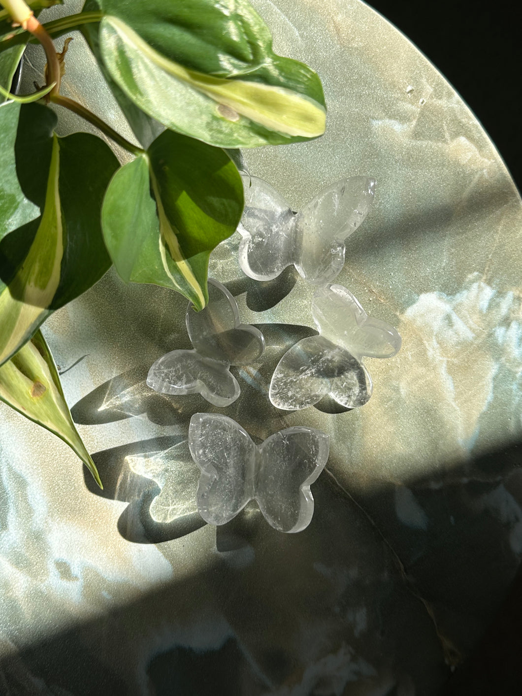 Clear Quartz Butterfly Crystal