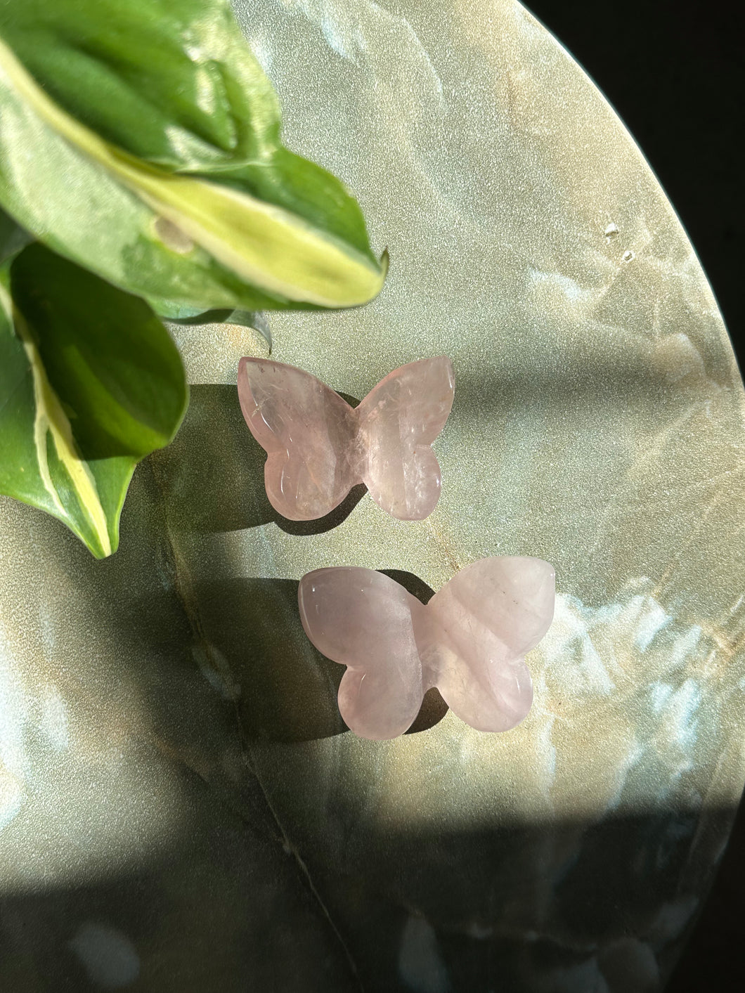 Rose Quartz Butterfly Crystal