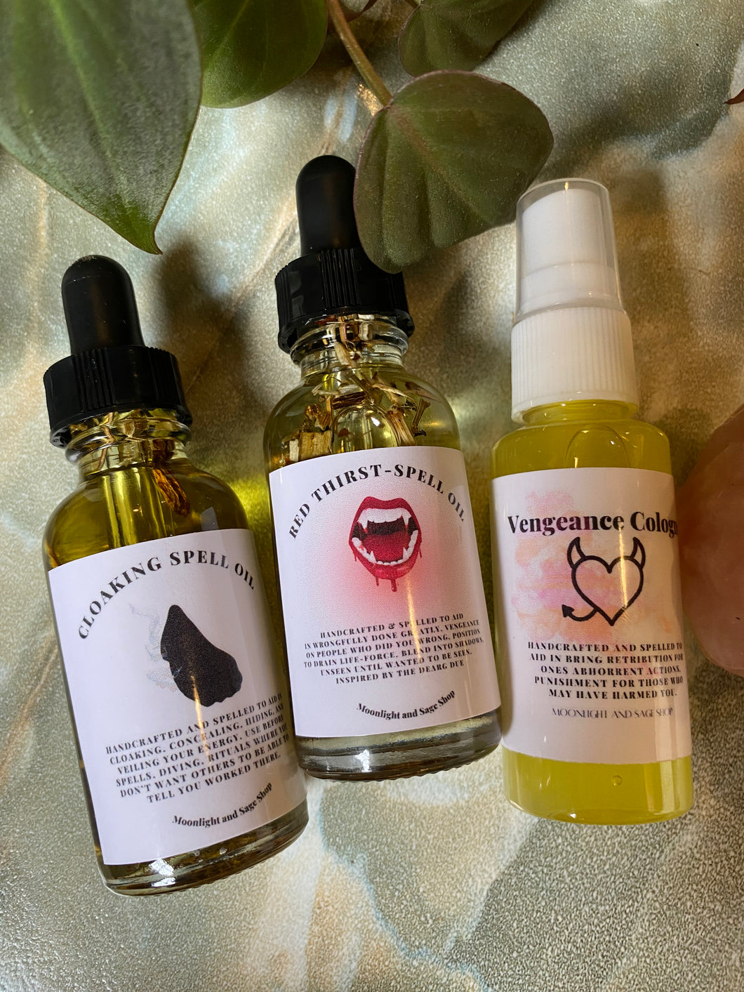 Grace's Venus Day Trio 5/9/24 - Online Only
