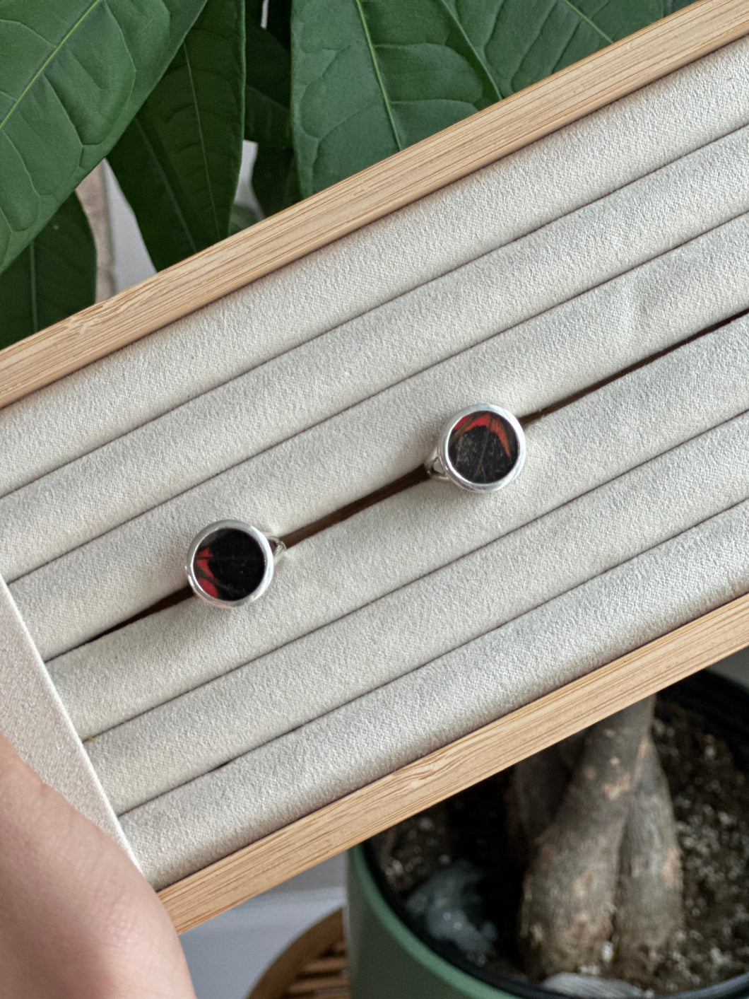 Scarlet MO Butterfly Wing Silver & Platinum Crystal Ring Size 6 From Peru