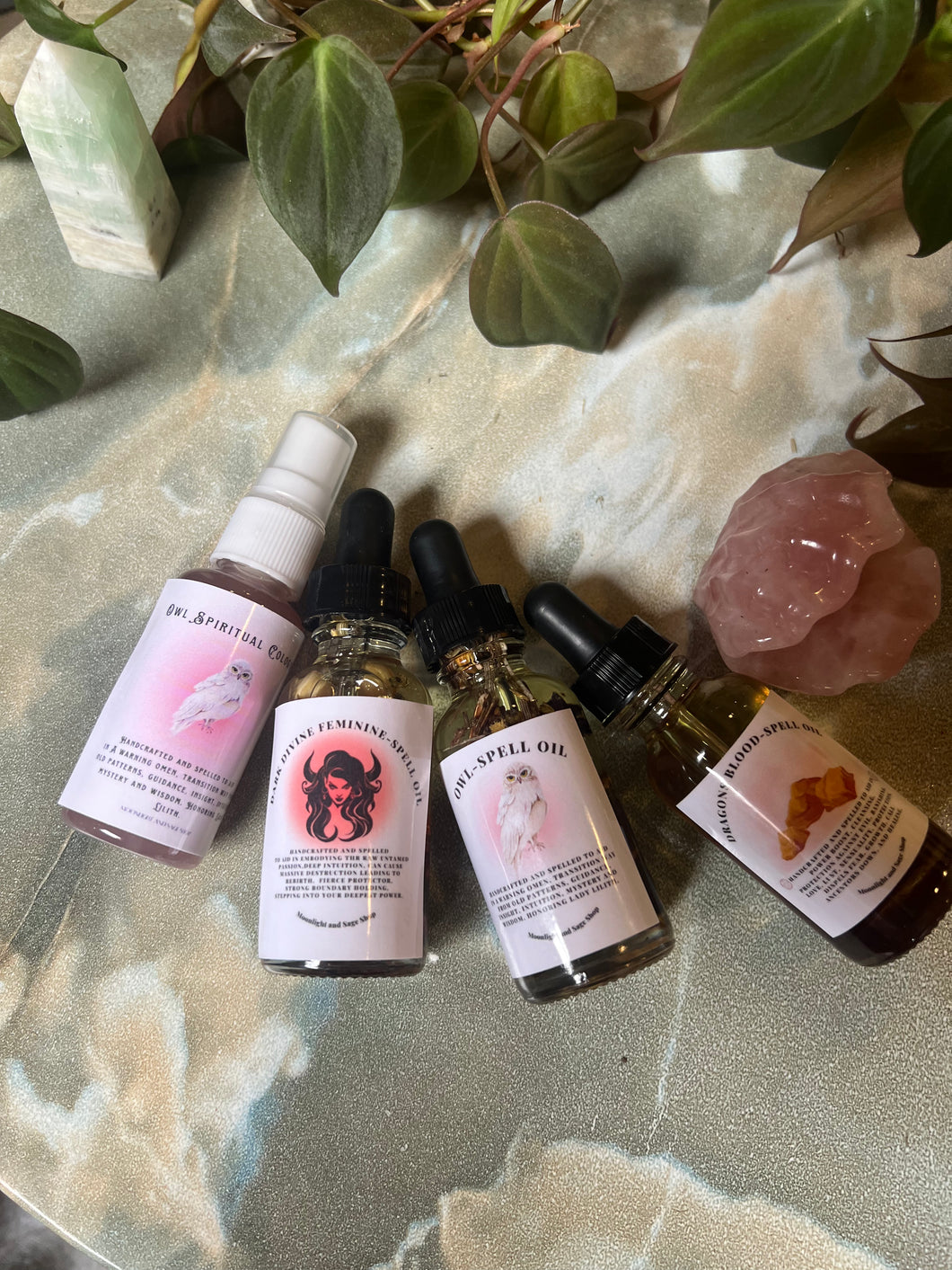 Gigi's Venus Day Quad 5/9/24 - Online Only
