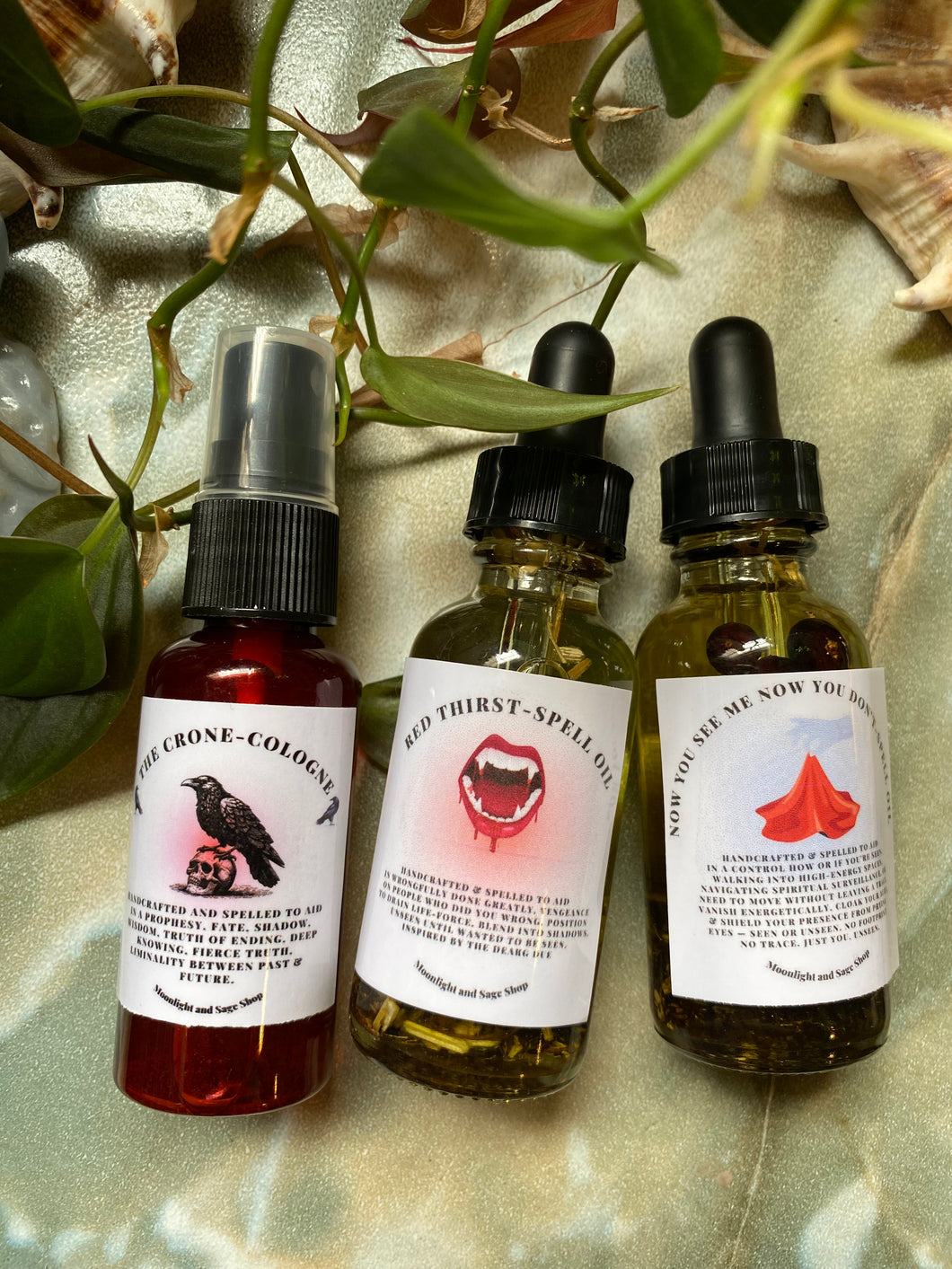 Grace's Venus Day Trio 8/22/25- ONLINE ONLY