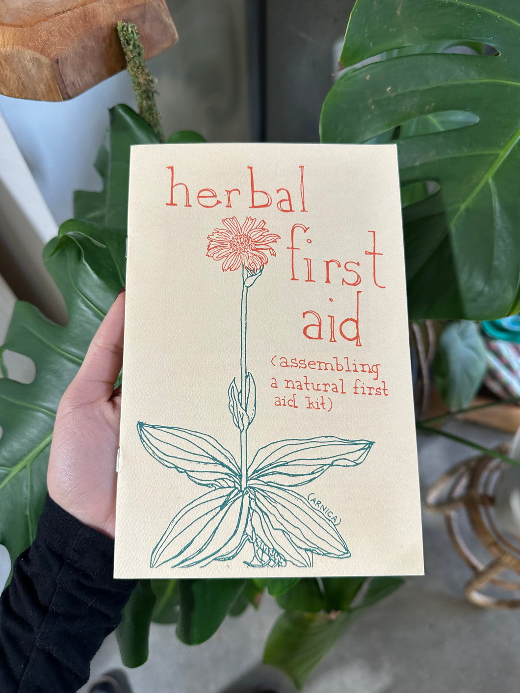 Herbal First Aid (assembling a natural first aid kit) By Raleigh briggs