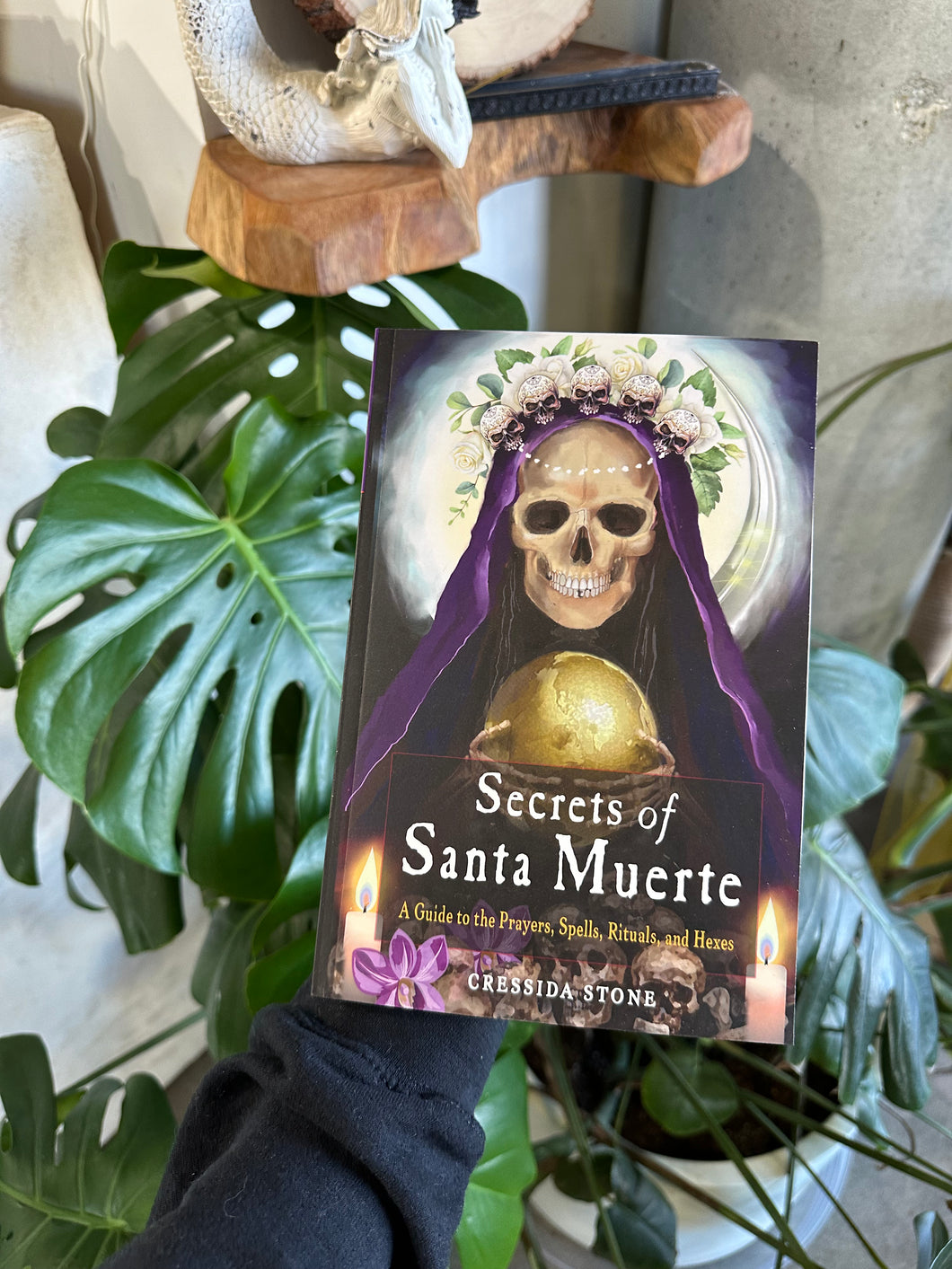 Secrets of Santa Muerte: A Guide to the Prayers, Spells, Rituals, and Hexes Paperback by Cressida Stone