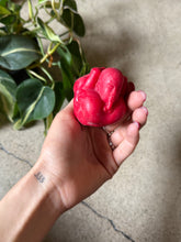 Load image into Gallery viewer, Karma Sutra 69 Candle - Red
