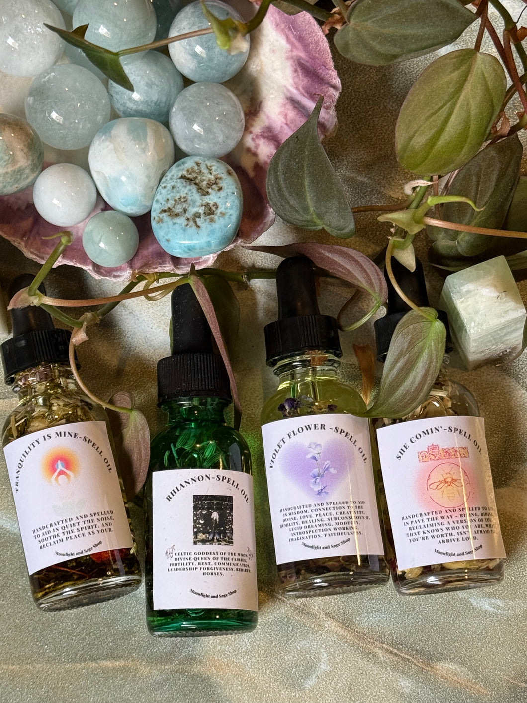 Stas's Venus Quad 5/2/25- ONLINE ONLY