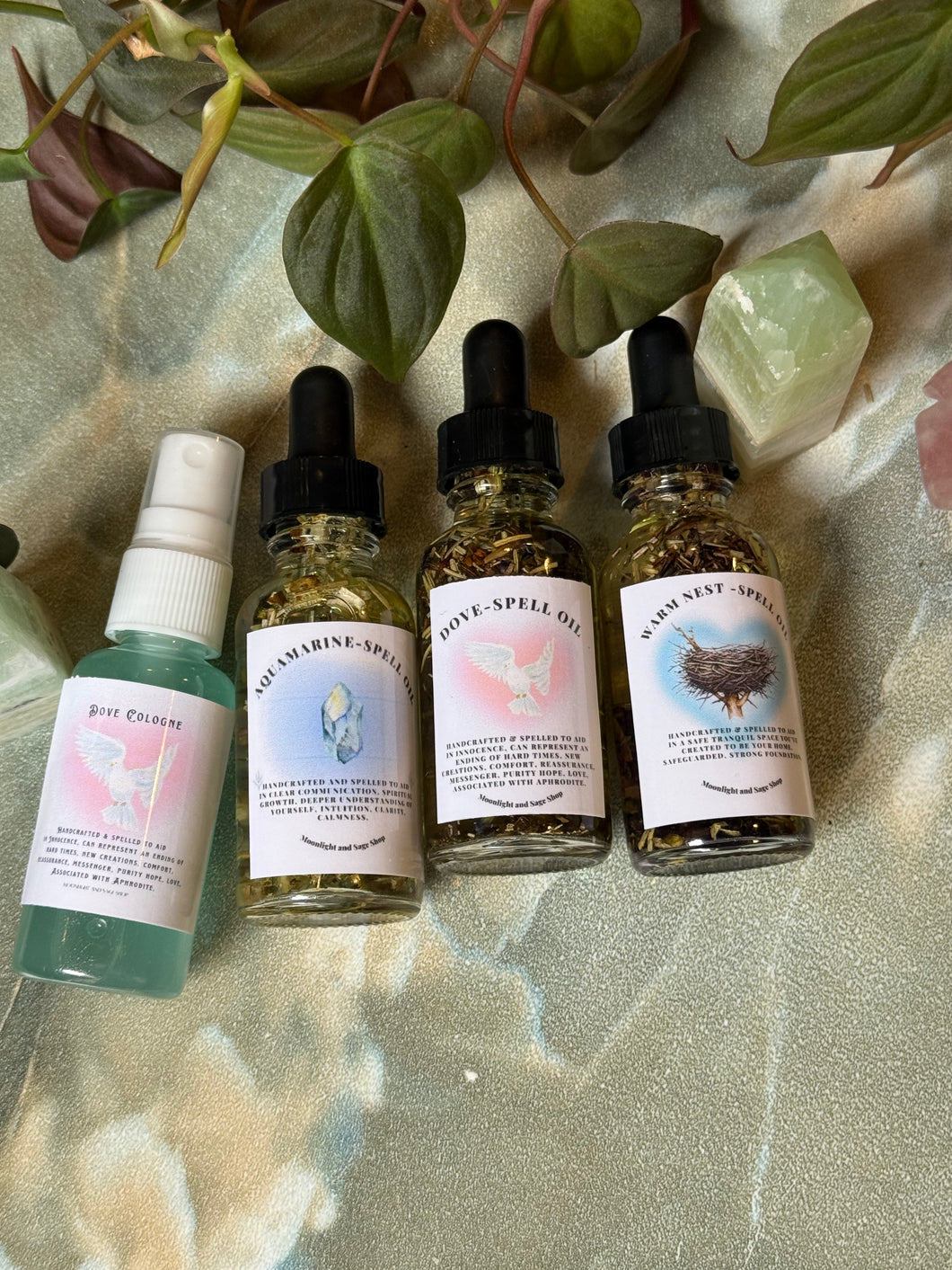 Stas's Venus Quad 5/9/25- ONLINE ONLY