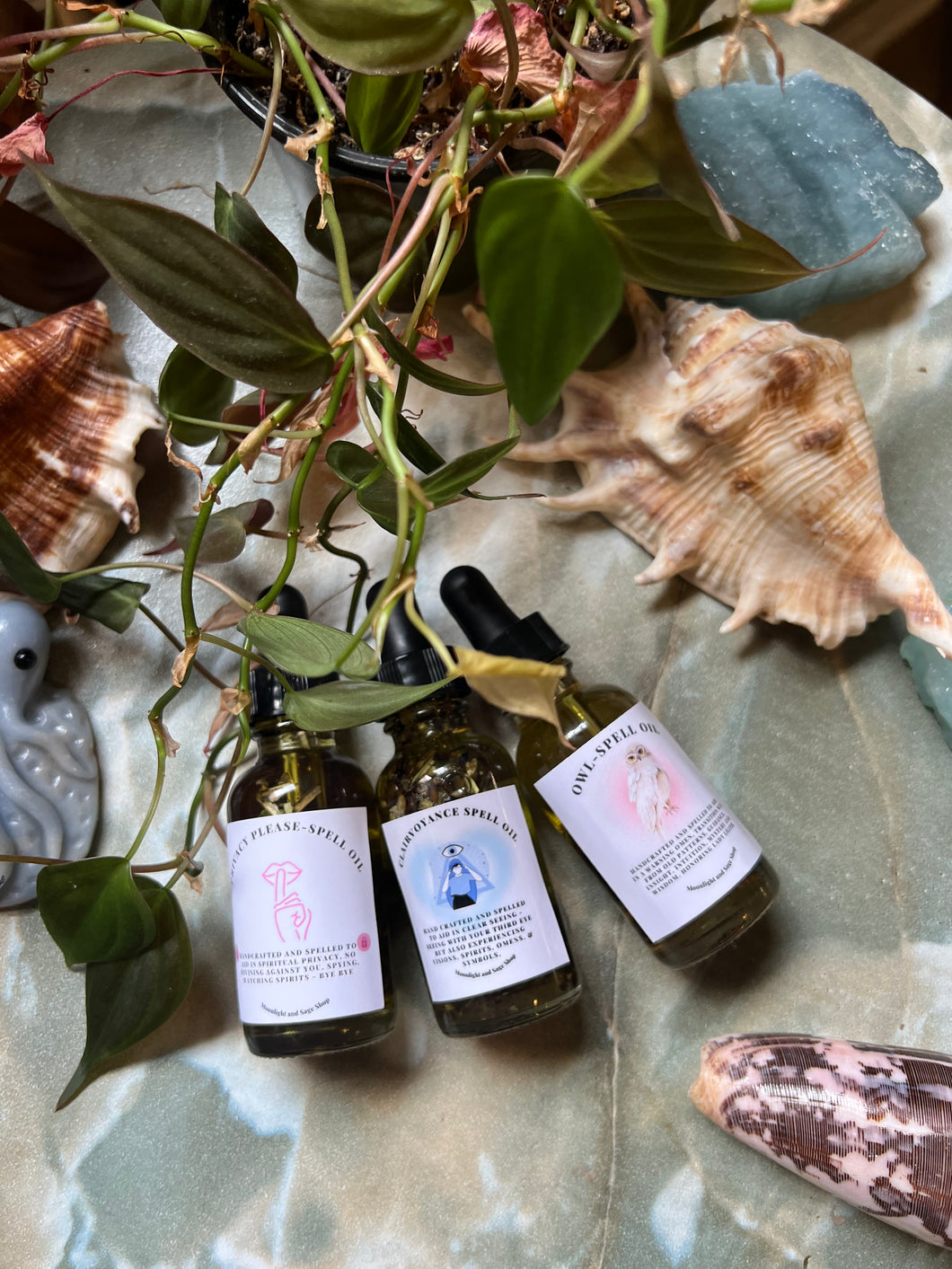 Gigi's Venus Day Trio 8/22/25- ONLINE ONLY