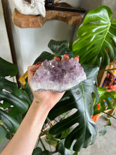 Load image into Gallery viewer, Raw Amethyst Crystal - B (Soothing, Healing, Protective)
