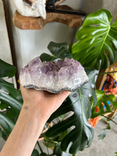 Load image into Gallery viewer, Raw Amethyst Crystal - B (Soothing, Healing, Protective)
