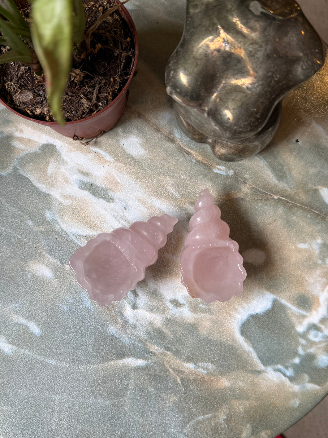 Rose Quartz Shell Crystal Bowl Carving – Moonlight And Sage Shop