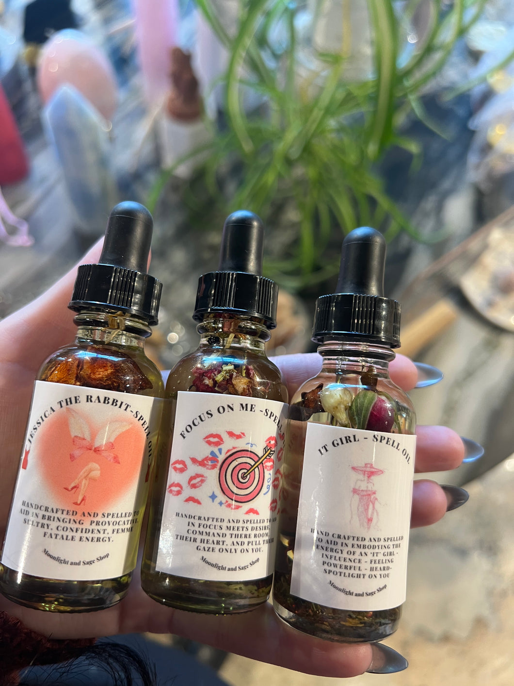 Gigi's Venus Day Trio 10/10/25- ONLINE ONLY