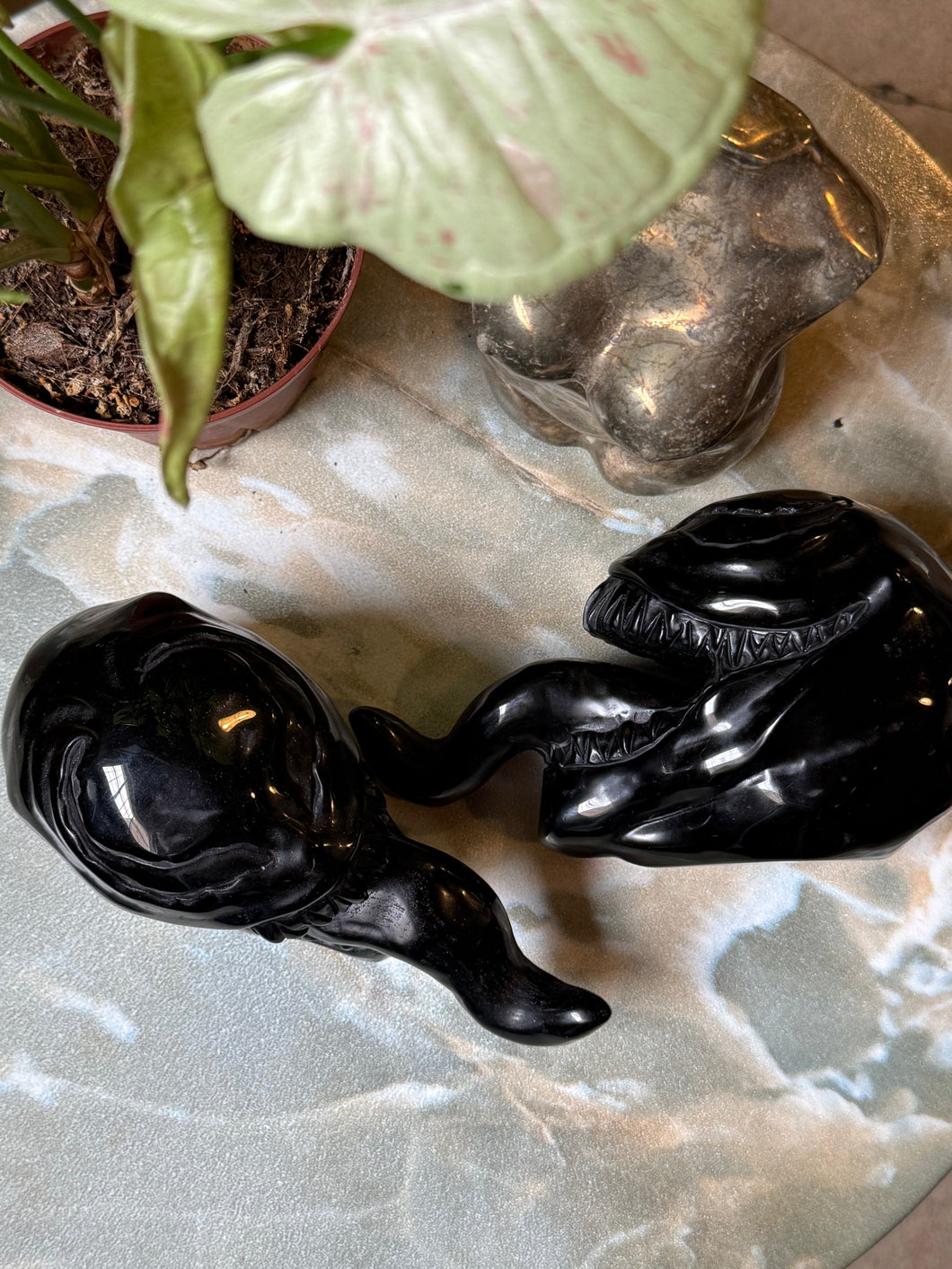 Black Obsidian Monster Venom Head - With Tongue Out