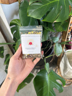 Speak To My Ancestors Herbal Blend