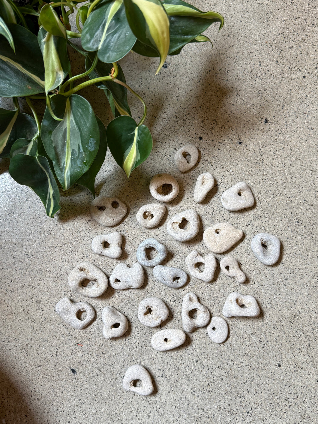 Mini Cleansed and Blessed Hag Stones - Intuitively Picked