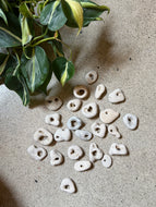 Mini Cleansed and Blessed Hag Stones - Intuitively Picked