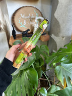 Coconut Cinnamon Incense