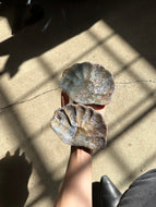 Moss Agate Shell Bowl Crystal Carving