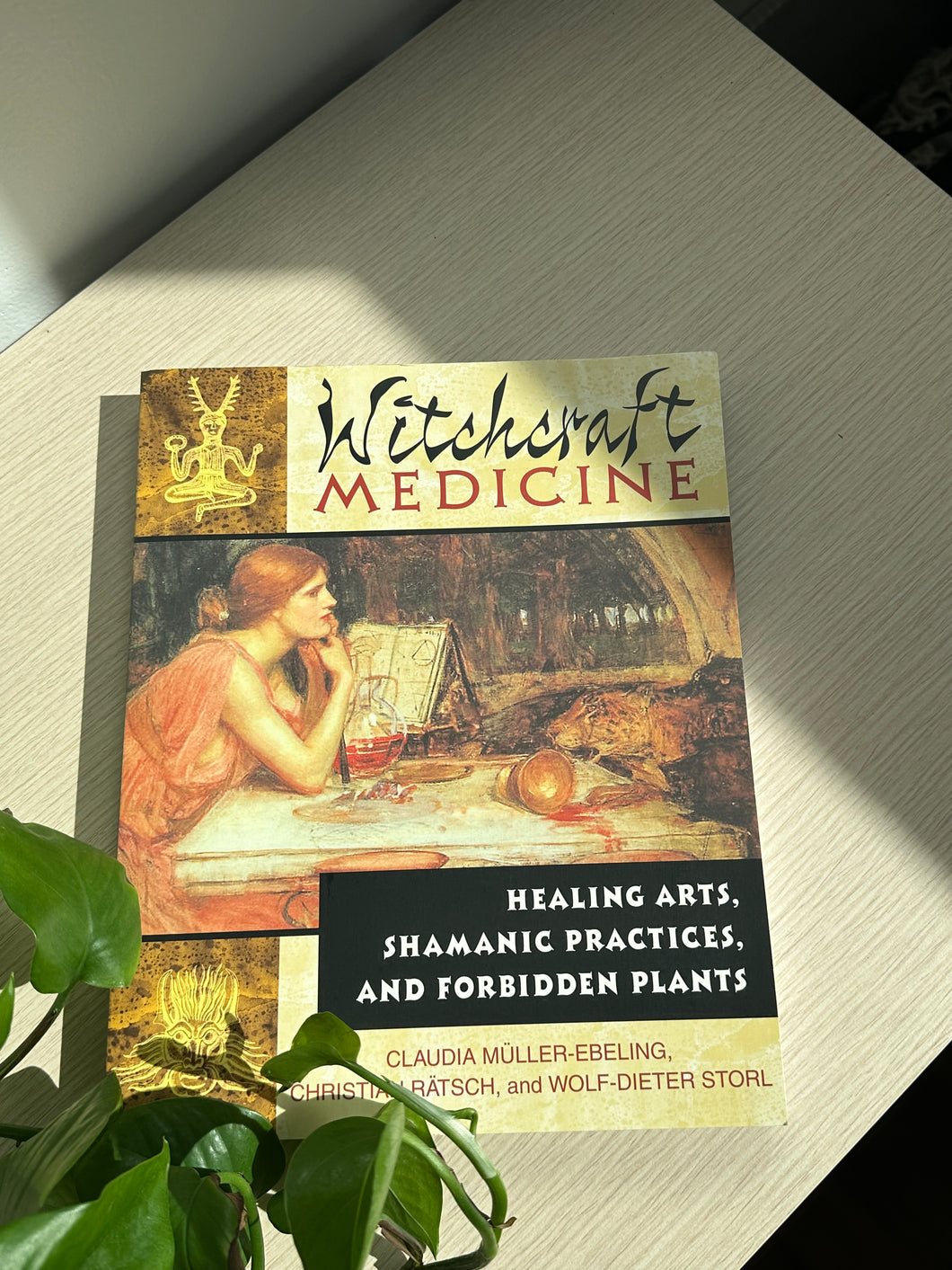 Witchcraft Medicine