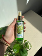 Rompe Saraguey Spiritual Cologne