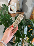 Meditation Mountain Sage Cleansing Bundle (with Frankincense, Myrrh, White Copal)