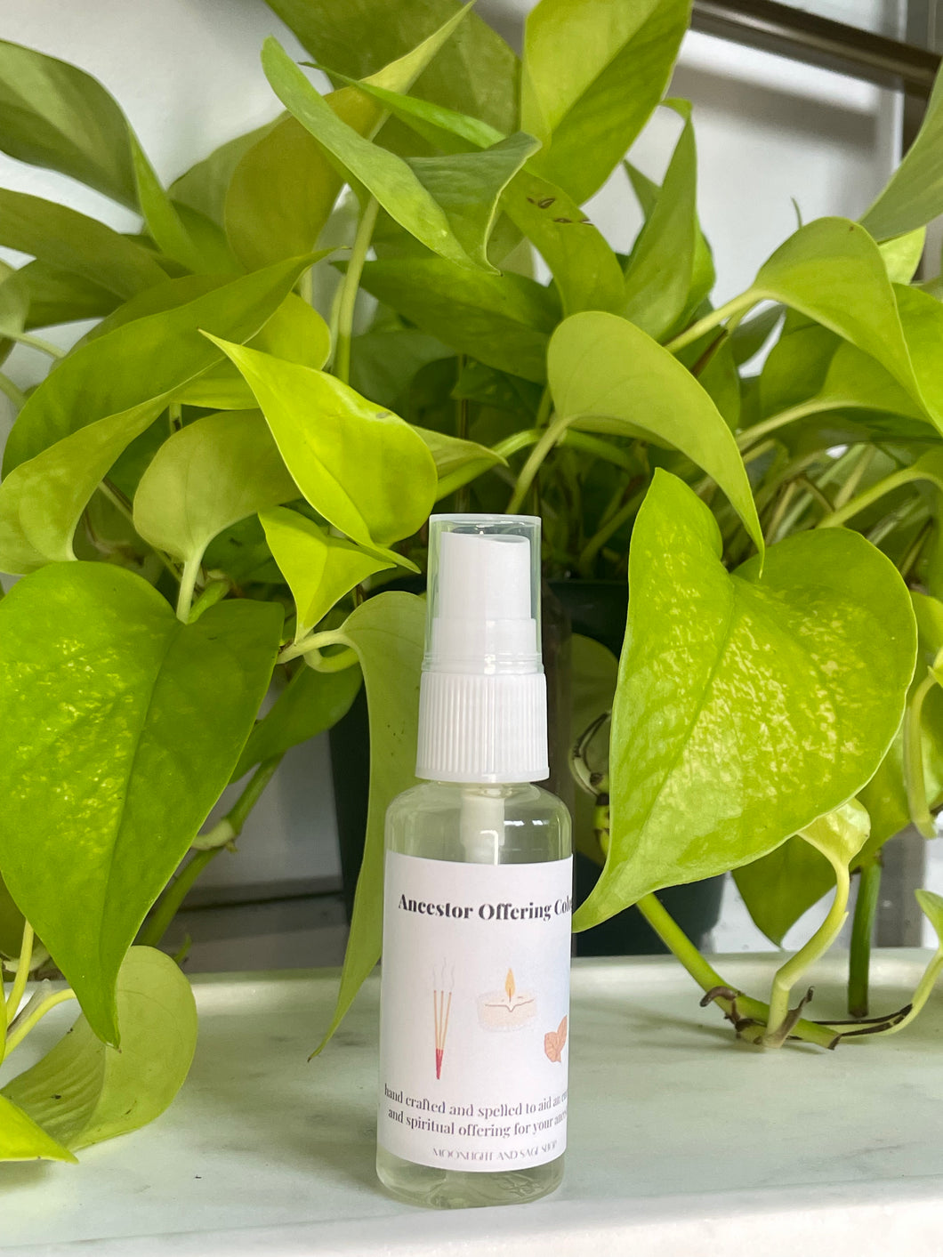 Ancestor Offering Spiritual Cologne - Available Until Monday September 29th at 9 am pst