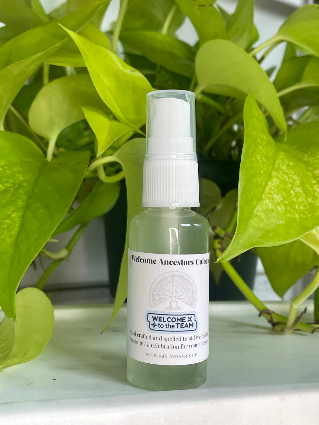 Welcome Ancestors Spiritual Cologne Available Until Monday September 29th at 9 am pst