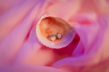 Load image into Gallery viewer, Enchanted Mother of Pearl Circle Earrings
