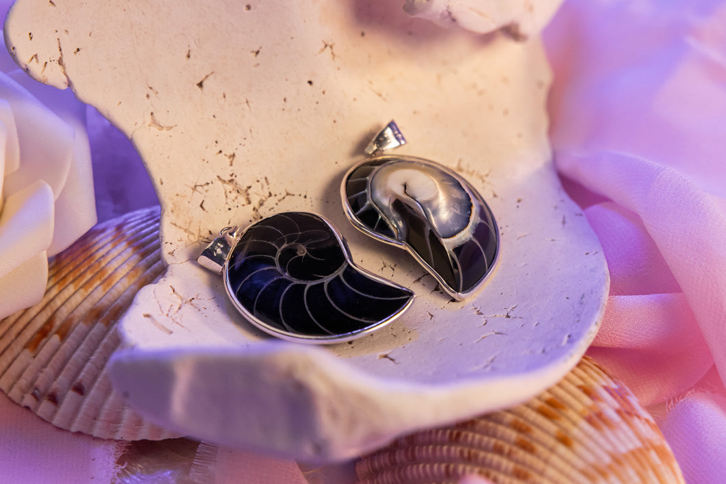 Medium Black Enchanted Vanessa Shell  Necklace