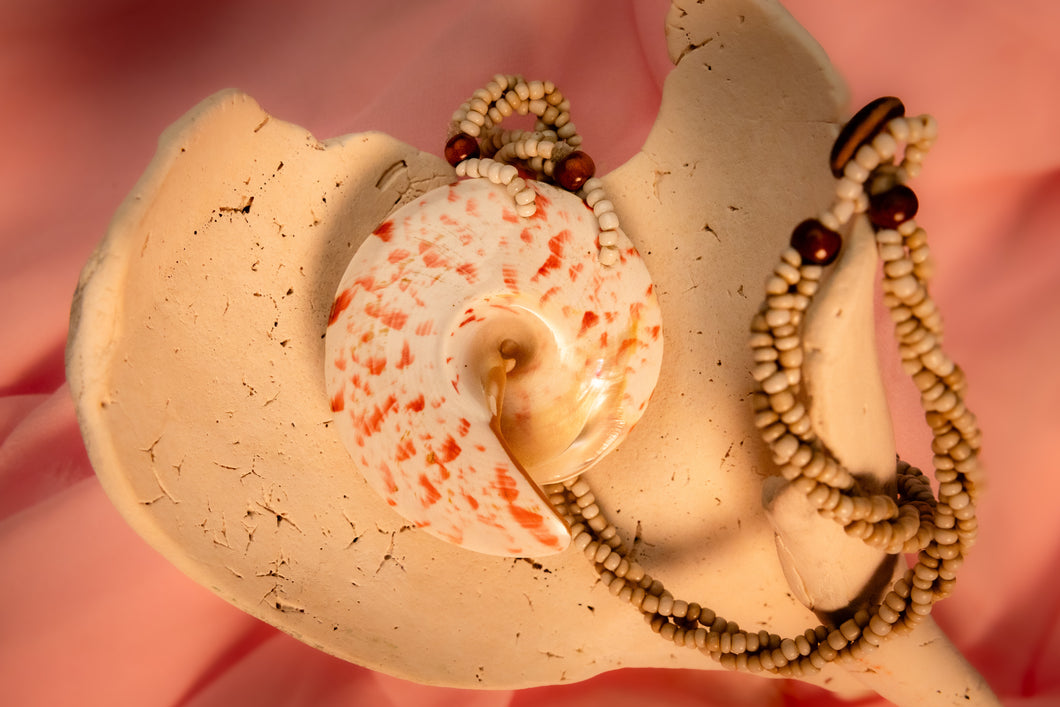 Large Strawberry Trochus Enchanted Shell Necklace