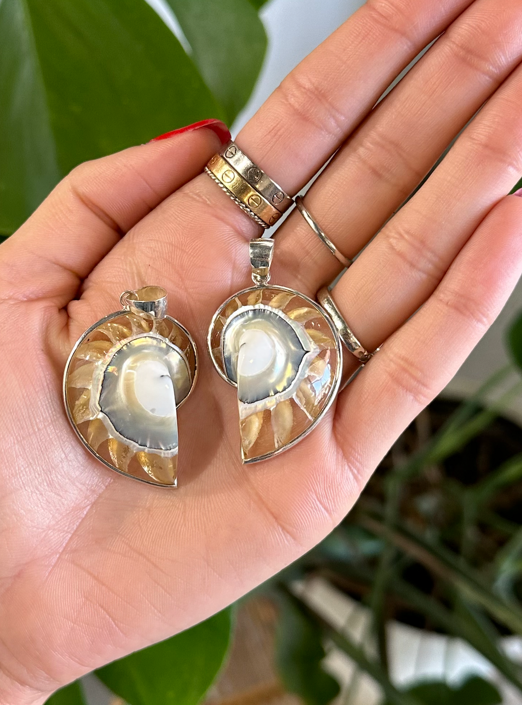 Medium Silver and Clear Shell - Enchanted Into the Depths Siren Pendant Vanessa Shell Necklace
