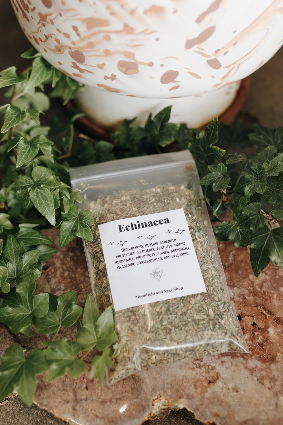 Echinacea Herb (Coneflower) 1 Oz