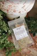 Bay Leaf Herb