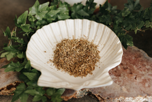 Load image into Gallery viewer, Agrimony Herb 1 Oz
