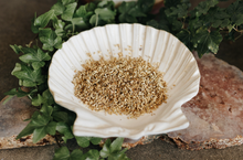 Load image into Gallery viewer, Yarrow Herb 1 oz
