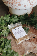 Angelica Root Herb