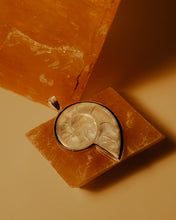 Load image into Gallery viewer, Flat Shell Enchanted Vanessa Necklace
