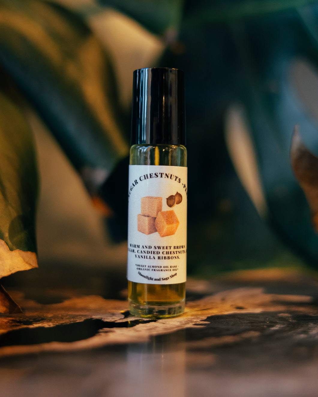 Brown Sugar Chestnuts - Perfume Oil