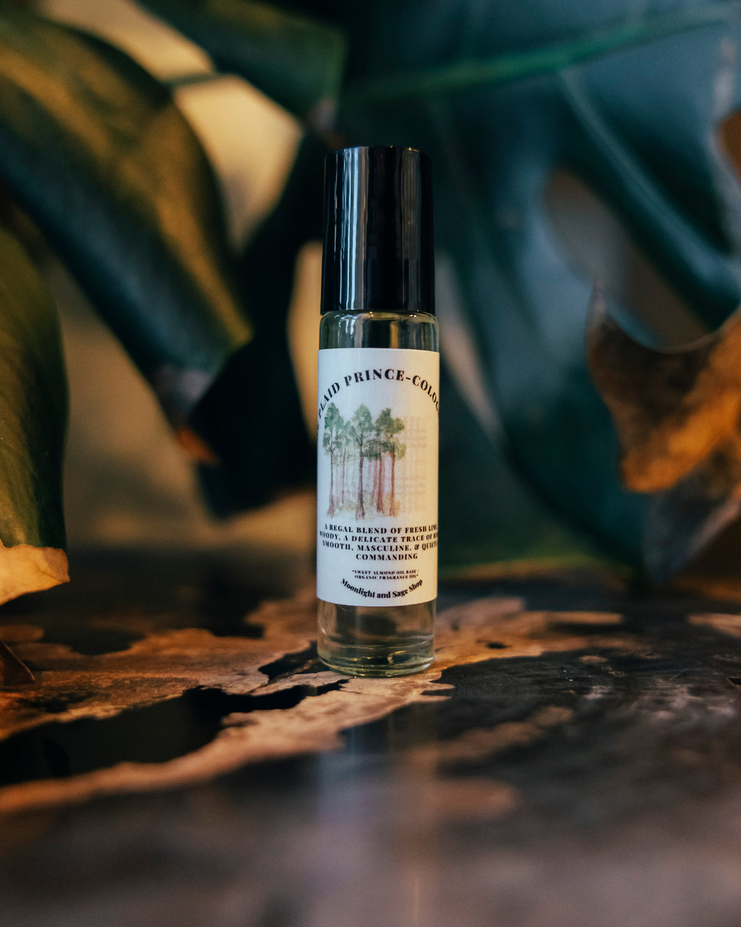 The Plaid Prince - Cologne Oil