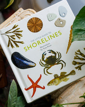 Load image into Gallery viewer, The Little Guide to Shorelines by Tom Frost
